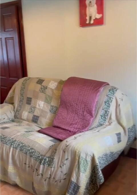 Annie Dee'S Guest Accommodation Ballygowan Luaran gambar