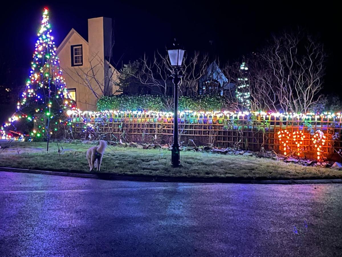 Annie Dee'S Guest Accommodation Ballygowan Luaran gambar