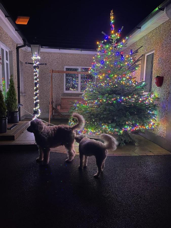 Annie Dee'S Guest Accommodation Ballygowan Luaran gambar